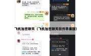 飞机加密聊天（飞机加密聊天软件苹果版）