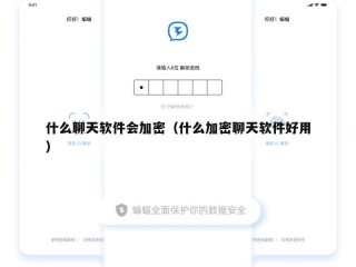 什么聊天软件会加密（什么加密聊天软件好用）