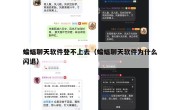 蝙蝠聊天软件登不上去（蝙蝠聊天软件为什么闪退）