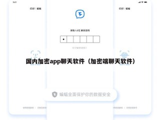 国内加密app聊天软件（加密端聊天软件）