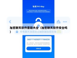 加密聊天软件套路大全（加密聊天软件安全吗）