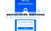 蝙蝠如何给自己聊天教程（蝙蝠聊天使用教程）
