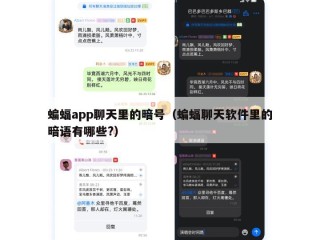 蝙蝠app聊天里的暗号（蝙蝠聊天软件里的暗语有哪些?）