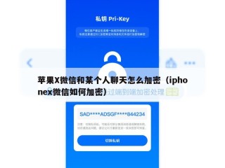 苹果X微信和某个人聊天怎么加密（iphonex微信如何加密）
