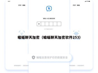 蝙蝠聊天加密（蝙蝠聊天加密软件253）