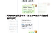 蝙蝠聊天记录是什么（蝙蝠聊天软件如何查看聊天记录）