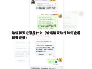 蝙蝠聊天记录是什么（蝙蝠聊天软件如何查看聊天记录）