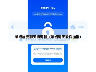 蝙蝠加密聊天资源群（蝙蝠聊天软件加群）