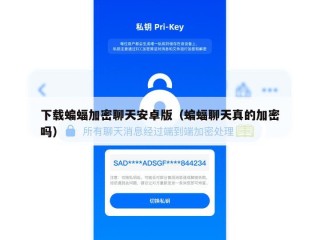 下载蝙蝠加密聊天安卓版（蝙蝠聊天真的加密吗）