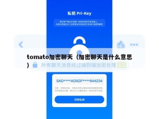 tomato加密聊天（加密聊天是什么意思）