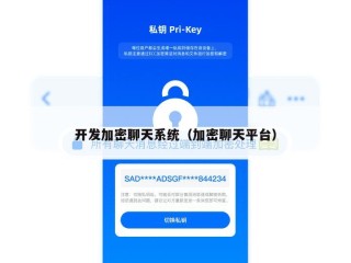 开发加密聊天系统（加密聊天平台）