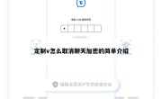 定制v怎么取消聊天加密的简单介绍