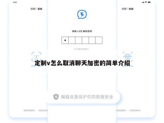 定制v怎么取消聊天加密的简单介绍