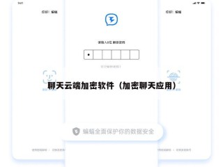 聊天云端加密软件（加密聊天应用）