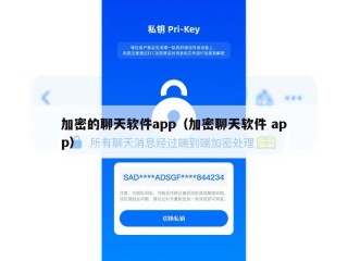 加密的聊天软件app（加密聊天软件 app）