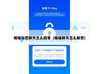 蝙蝠加密聊天怎么回事（蝙蝠聊天怎么解密）