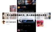 男人加密聊天图片狗（男人微信加密什么意思）