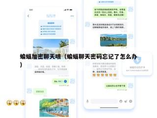 蝙蝠加密聊天哦（蝙蝠聊天密码忘记了怎么办）