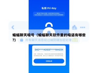 蝙蝠聊天暗号（蝙蝠聊天软件里的暗语有哪些?）