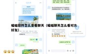 蝙蝠软件怎么查看聊天（蝙蝠聊天怎么看对方好友）