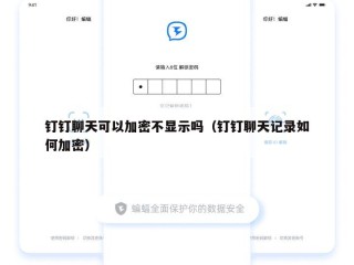 钉钉聊天可以加密不显示吗（钉钉聊天记录如何加密）