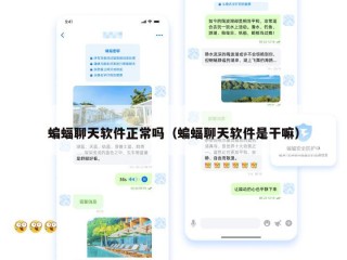 蝙蝠聊天软件正常吗（蝙蝠聊天软件是干嘛）