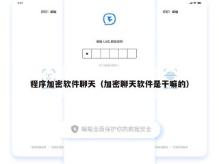 程序加密软件聊天（加密聊天软件是干嘛的）