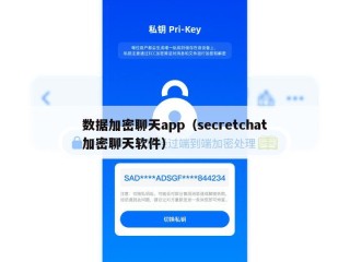 数据加密聊天app（secretchat加密聊天软件）