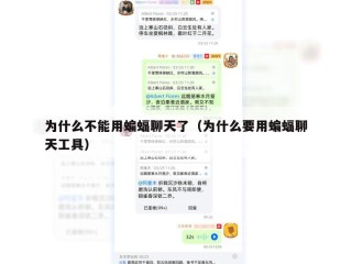 为什么不能用蝙蝠聊天了（为什么要用蝙蝠聊天工具）