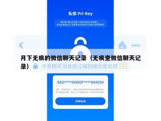 月下无痕的微信聊天记录（无痕查微信聊天记录）