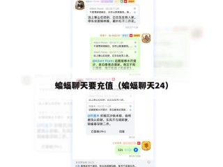 蝙蝠聊天要充值（蝙蝠聊天24）