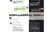 秘密聊天app加密聊天app（秘密聊天方式）