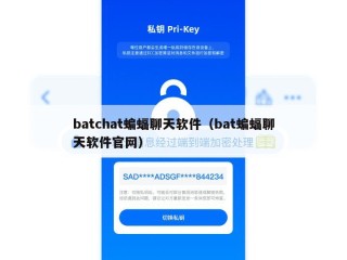 batchat蝙蝠聊天软件（bat蝙蝠聊天软件官网）