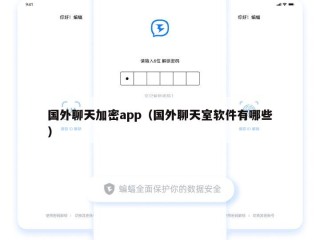 国外聊天加密app（国外聊天室软件有哪些）