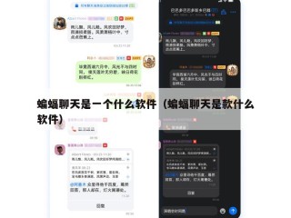 蝙蝠聊天是一个什么软件（蝙蝠聊天是款什么软件）