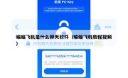 蝙蝠飞机是什么聊天软件（蝙蝠飞机教程视频）