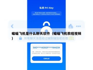 蝙蝠飞机是什么聊天软件（蝙蝠飞机教程视频）