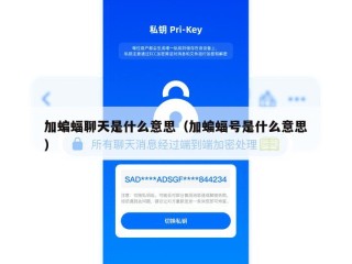 加蝙蝠聊天是什么意思（加蝙蝠号是什么意思）
