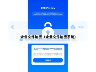 企业文件加密（企业文件加密系统）