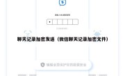 聊天记录加密发送（微信聊天记录加密文件）
