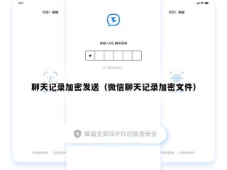 聊天记录加密发送（微信聊天记录加密文件）