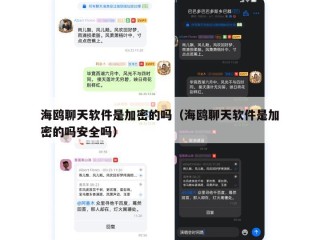 海鸥聊天软件是加密的吗（海鸥聊天软件是加密的吗安全吗）