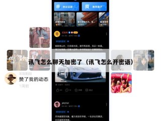 讯飞怎么聊天加密了（讯飞怎么开密语）