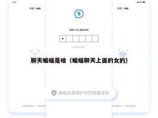 聊天蝙蝠是啥（蝙蝠聊天上面的女的）