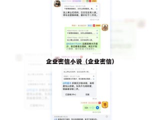 企业密信小说（企业密信）