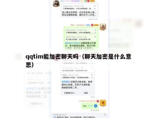 qqtim能加密聊天吗（聊天加密是什么意思）