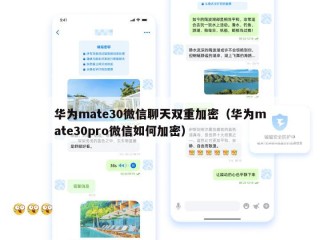 华为mate30微信聊天双重加密（华为mate30pro微信如何加密）