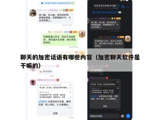 聊天的加密话语有哪些内容（加密聊天软件是干嘛的）