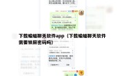下载蝙蝠聊天软件app（下载蝙蝠聊天软件需要锁屏密码吗）