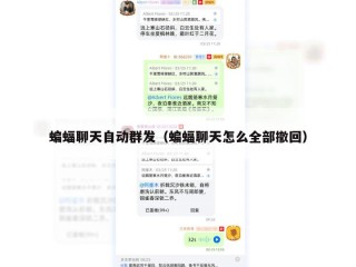 蝙蝠聊天自动群发（蝙蝠聊天怎么全部撤回）